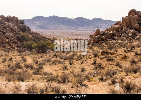 Collines de granite et broussailles arides du plateau de Huib, le long du bord du désert à Aus en Namibie. Banque D'Images