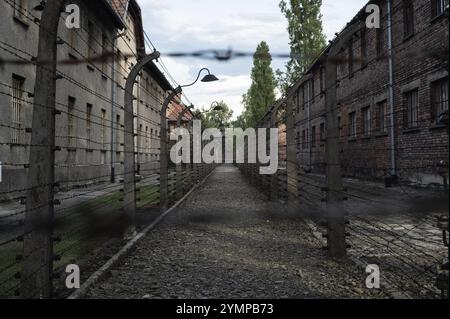 Clôture en fil de fer barbelé dans un camp de concentration allemand de la seconde Guerre mondiale Banque D'Images