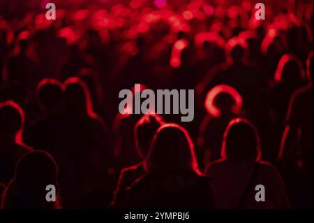 Foule de personnes devant la scène pendant le concert. Banque D'Images