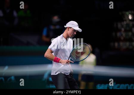 Malaga, Espagne, 22, novembre 2024. Daniel Altmaier de l'équipe allemande en demi-finale Coupe Davis finale 8 match simple 1. Crédit : Vicente Vidal Fernandez/Alamy Live News Banque D'Images