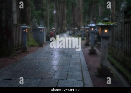 Cimetière Odo-in à Koyasan Japon Banque D'Images