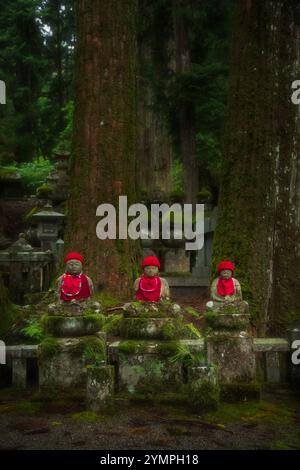 Cimetière Odo-in à Koyasan Japon Banque D'Images