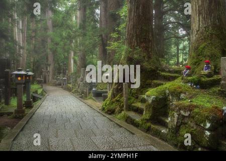 Cimetière Odo-in à Koyasan Japon Banque D'Images