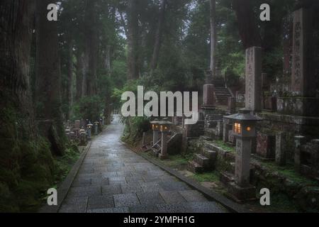 Cimetière Odo-in à Koyasan Japon Banque D'Images