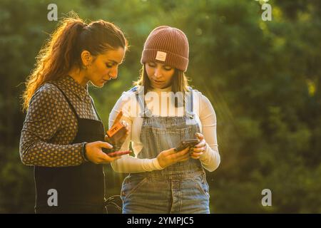 Deux agricultrices comparent des notes sur un téléphone portable et une petite boîte en bois dans la lumière du soleil de l'heure d'or Banque D'Images