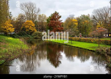 Reflets colorés d'automne dans le parc Erasmus à Amsterdam, pays-Bas, 15 nov 2024 Banque D'Images