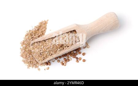 Son de sarrasin en pelle en bois et grains isolés sur blanc, vue de dessus Banque D'Images