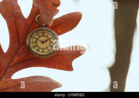 Heure d'automne. Montre à chaîne accrochée à l'arbre dans le parc, mise au point sélective. Espace pour le texte Banque D'Images