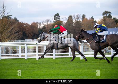 Ascot, Royaume-Uni. 22 novembre 2024. LAW OF SUPPLY monté par le jockey Jonathan Burke remporte le Copybet UK handicap Steeple Chase (Class 4) au Copybet November Friday Raceday à Ascot Racecourse dans le Berkshire. Propriétaire Andrew Lay’s Legacy, entraîneur Kim Bailey, Cheltenham, éleveur Thistetown Stud, commanditaire Kim Bailey Racing Ltd Crédit : Maureen McLean/Alamy Live News Banque D'Images