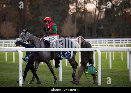 Ascot, Royaume-Uni. 22 novembre 2024. LAW OF SUPPLY monté par le jockey Jonathan Burke remporte le Copybet UK handicap Steeple Chase (Class 4) au Copybet November Friday Raceday à Ascot Racecourse dans le Berkshire. Propriétaire Andrew Lay’s Legacy, entraîneur Kim Bailey, Cheltenham, éleveur Thistetown Stud, commanditaire Kim Bailey Racing Ltd Crédit : Maureen McLean/Alamy Live News Banque D'Images