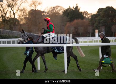 Ascot, Royaume-Uni. 22 novembre 2024. LAW OF SUPPLY monté par le jockey Jonathan Burke remporte le Copybet UK handicap Steeple Chase (Class 4) au Copybet November Friday Raceday à Ascot Racecourse dans le Berkshire. Propriétaire Andrew Lay’s Legacy, entraîneur Kim Bailey, Cheltenham, éleveur Thistetown Stud, commanditaire Kim Bailey Racing Ltd Crédit : Maureen McLean/Alamy Live News Banque D'Images