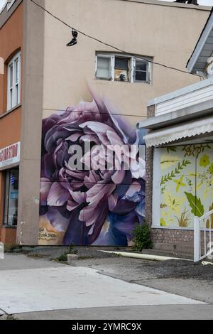 Murale de fleurs violettes et paire de chaussures jetées sur un fil électrique dans une ruelle du centre-ville d'Oshawa, Ontario, Canada Banque D'Images