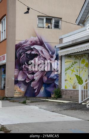 Murale de fleurs violettes et paire de chaussures jetées sur un fil électrique dans une ruelle du centre-ville d'Oshawa, Ontario, Canada Banque D'Images