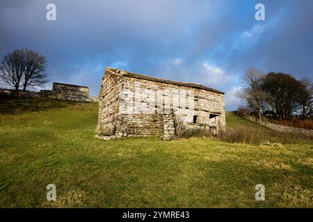 Granges traditionnelles des Yorkshire Dales (ou «maisons à vaches»), Sedbusk près de Hawes, Wensleydale Banque D'Images