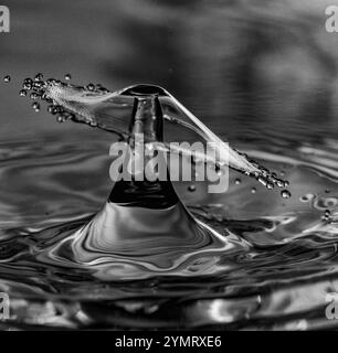 Goutte d'eau éclaboussant et créant une belle couronne conique avec de nombreuses gouttelettes autour Banque D'Images