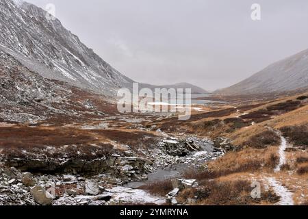 Un sentier touristique longeant la rive d'une rivière peu profonde envahie de boeufs rouges dans une vallée prise en sandwich entre deux chaînes de montagnes couvertes de sapins Banque D'Images