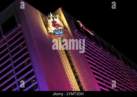 Las Vegas, États-Unis. 22 novembre 2024. Ambiance Las Vegas. 22.11.2024. Championnat du monde de formule 1, Rd 22, Grand Prix de Las Vegas, Las Vegas, Nevada, États-Unis, jour de qualification. Le crédit photo devrait se lire : XPB/Alamy Live News. Banque D'Images