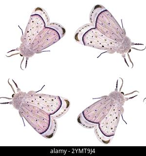 Motif sans couture rose poussiéreux isolé sur blanc. Illustration aquarelle peinte à la main de haute qualité. Collection papillon pour papier d'emballage Banque D'Images