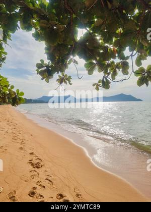 De douces vagues embrassent le rivage sablonneux de Bangsaray tandis que la lumière du soleil scintille sur l'eau. Une végétation luxuriante encadre cet endroit tranquille, offrant une évasion parfaite f Banque D'Images