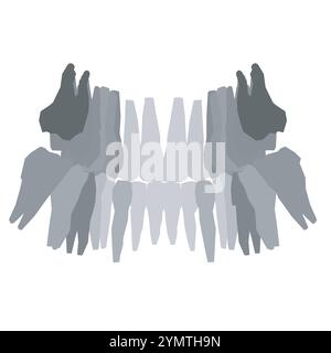 Types de silhouette dentaire. Diverses dents humaines avec racines, molaires, prémolaires, canines. Illustration vectorielle. Illustration de Vecteur