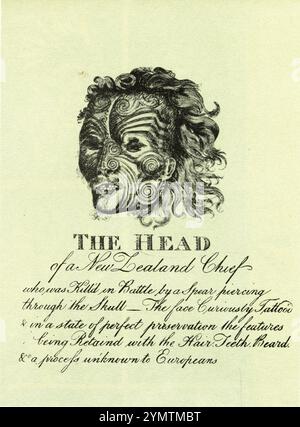 Une illustration du 19ème siècle sous-titrait « la tête d'un chef néo-zélandais qui a été tué au combat par une lance perçant à travers le crâne - le visage curieusement tatoué et dans un état de conservation parfaite les traits étant conservés avec les cheveux. Dents. Barbe. & Un processus inconnu des Européens. Banque D'Images