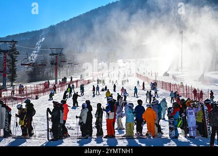 Changchun, province chinoise de Jilin. 23 novembre 2024. Les skieurs apprécient le sport à la station de ski de Beidahu dans la ville de Jilin, dans la province de Jilin au nord-est de la Chine, le 23 novembre 2024. Crédit : Yan Linyun/Xinhua/Alamy Live News Banque D'Images