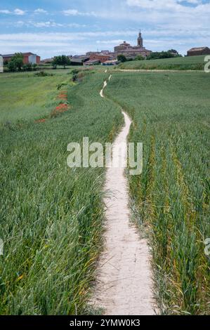 Un sentier de campagne sinueux passant par un champ jusqu'au petit village de Sansol dans le nord de l'Espagne Banque D'Images