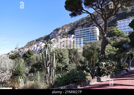 Dans le jardin botanique de Gibraltar, Grande-Bretagne Banque D'Images