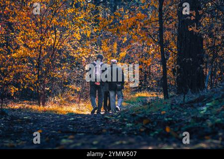 Dans une scène automnale sereine, deux individus profitent d'une promenade tranquille ensemble alors qu'ils marchent à travers une forêt magnifiquement colorée qui est remplie de nuances vibrantes de feuilles orange et jaunes Banque D'Images