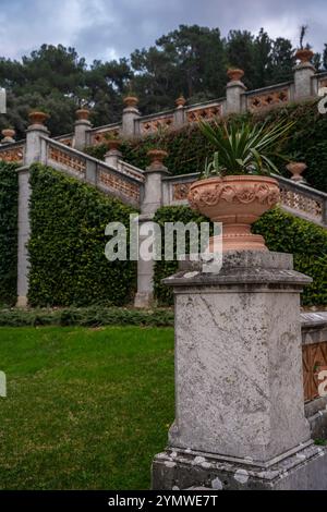 Le jardin du château de Miramare en bord de mer. Beaucoup de plante de yucca épi dans une urne en terre cuite. Banque D'Images