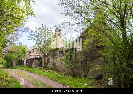 Ancienne ferme abandonnée reprise par la nature Banque D'Images