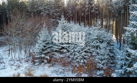 Bavière, Allemagne - 22 novembre 2024 : vue aérienne d'une forêt enneigée en hiver *** Luftaufnahme von einem Verschneiten Wald im Winter Banque D'Images