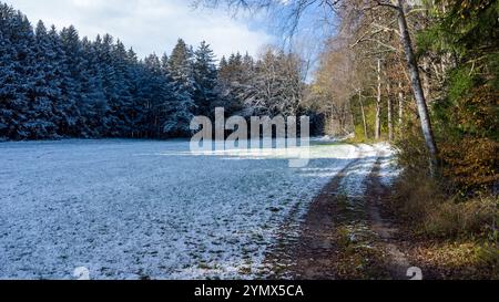 Bavière, Allemagne - 22 novembre 2024 : vue aérienne d'une forêt enneigée en hiver *** Luftaufnahme von einem Verschneiten Wald im Winter Banque D'Images