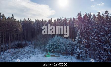 Bavière, Allemagne - 22 novembre 2024 : vue aérienne d'une forêt enneigée en hiver *** Luftaufnahme von einem Verschneiten Wald im Winter Banque D'Images