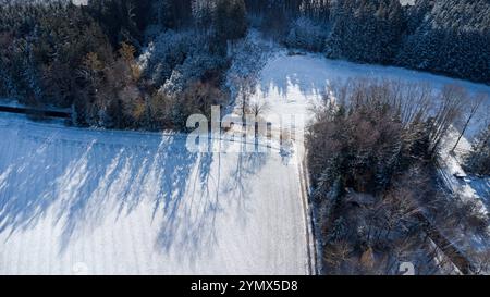 Bavière, Allemagne - 22 novembre 2024 : vue aérienne d'une forêt enneigée en hiver *** Luftaufnahme von einem Verschneiten Wald im Winter Banque D'Images