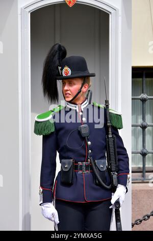 Garde, sa Majesté la Garde du Roi, Palais Royal, Slottet ou Det kongelige slott, Oslo, Norvège, Scandinavie, Europe Banque D'Images