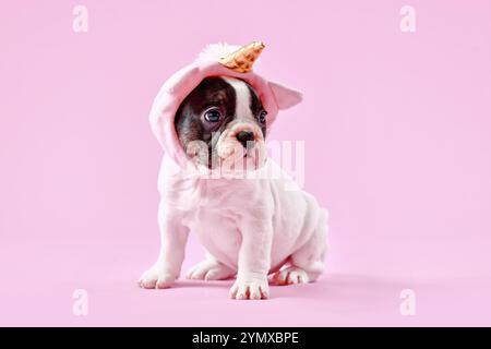Chiot chien bouledogue français mignon avec chapeau de licorne mignon avec corne dorée sur fond rose Banque D'Images
