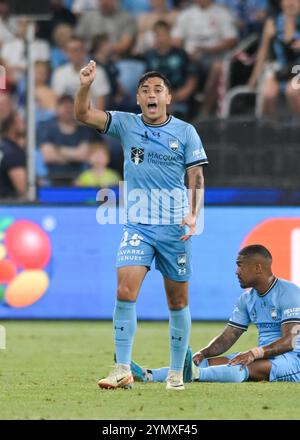 Paddington, Australie. 23 novembre 2024. Leo Sena du Sydney FC vu en action lors du match de la cinquième ronde de la saison 2024-25 d'Isuzu UTE A-League entre le Sydney FC et le Western Sydney Wanderers FC tenu au stade Allianz. Score final Sydney FC 4:2 Western Sydney Wanderers. Crédit : SOPA images Limited/Alamy Live News Banque D'Images