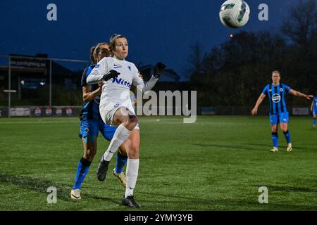 Aalter, Belgique. 23 novembre 2024. Gwen Duijsters (13 ans) de Genk photographiée lors d'un match de football féminin entre le Club Brugge Dames YLA et les KRC Genk Ladies le 11 ème jour de la saison 2024 - 2025 de la Super League belge du Lotto Womens, le samedi 23 novembre 2024 à Aalter, BELGIQUE . Crédit : Sportpix/Alamy Live News Banque D'Images