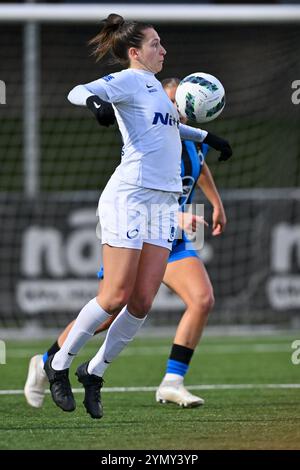 Aalter, Belgique. 23 novembre 2024. Gwen Duijsters (13 ans) de Genk photographiée lors d'un match de football féminin entre le Club Brugge Dames YLA et les KRC Genk Ladies le 11 ème jour de la saison 2024 - 2025 de la Super League belge du Lotto Womens, le samedi 23 novembre 2024 à Aalter, BELGIQUE . Crédit : Sportpix/Alamy Live News Banque D'Images