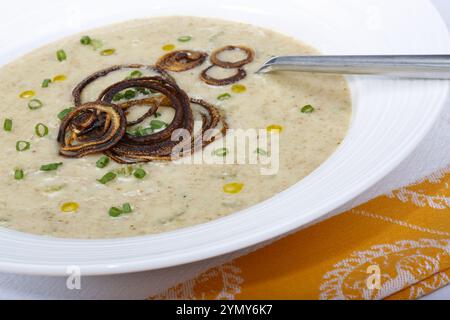 Cuisine souabe, soupe d'épeautre vert, saine, végétarienne, régionale, soupe servie dans des assiettes à soupe, cuisine maison, oignons rôtis, herbes, ciboulette, typique Banque D'Images