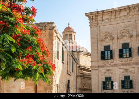 Valletta Malta,Castille Square place,Pjazza Kastilja,Auberge de Castille,Chevaliers de l'ordre des membres John,ancienne résidence,aujourd'hui bureau du premier ministre,F Banque D'Images