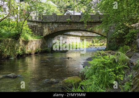 Pont de grès à Kirnitzschtal, Suisse saxonne Banque D'Images