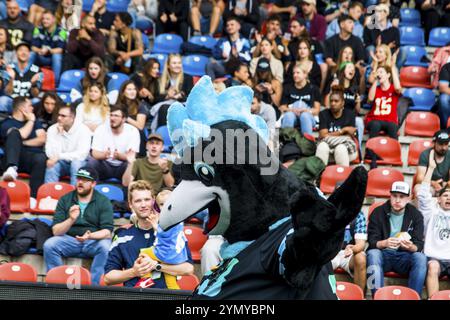 Ligue européenne de football, ELF/ match : les Lions de Prague aux Ravens de Munich le 09. Juin. 2024, dans le PARC uhlsport, Unterhaching, Allemagne, Europe Banque D'Images