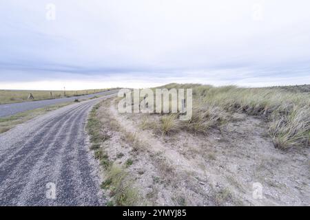 Piste cyclable solitaire et route dans la Schoorlse Duinen, pays-Bas Banque D'Images