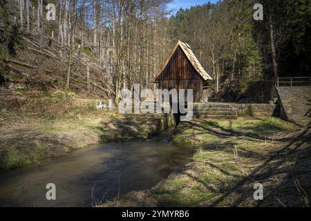 La vallée de Kirnitzsch en Suisse saxonne-écluse inférieure 1 Banque D'Images