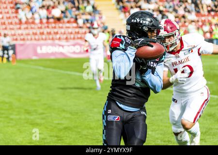 Ligue européenne de football, ELF/ match : les Lions de Prague aux Ravens de Munich le 09. Juin. 2024, dans le PARC uhlsport, Unterhaching, Allemagne, Europe Banque D'Images