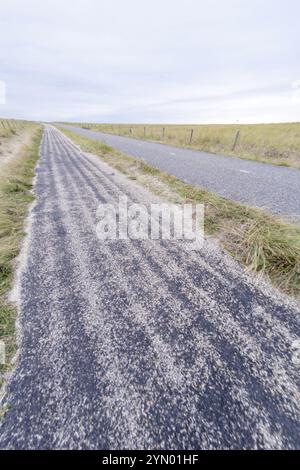 Piste cyclable solitaire et route dans la Schoorlse Duinen, pays-Bas Banque D'Images