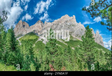 Les sommets du groupe Rosengarten se dressent derrière une forêt luxuriante dans les Dolomites italiennes, Trentin Haut-Adige, Italie Banque D'Images