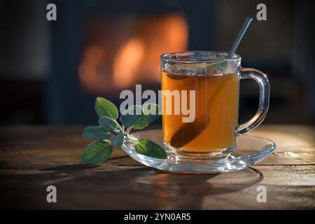 Tisane dans une tasse en verre avec des feuilles de sauge sur une table en bois rustique devant une cheminée, boisson chaude saine en hiver et en automne contre le froid et f Banque D'Images